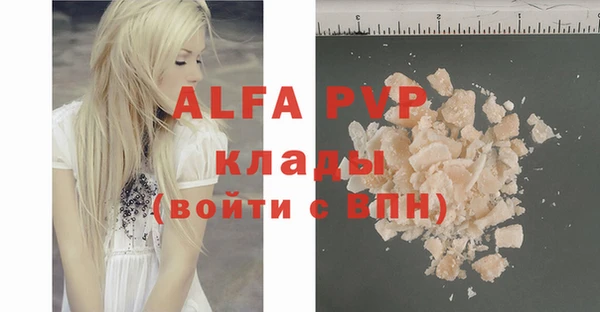 индика Алексин