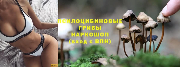 индика Алексин