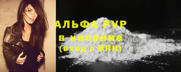 индика Алексин
