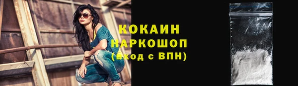 индика Алексин