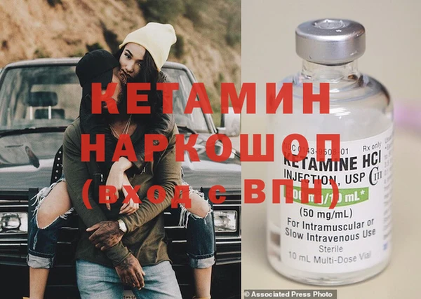 индика Алексин
