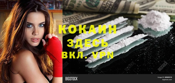индика Алексин
