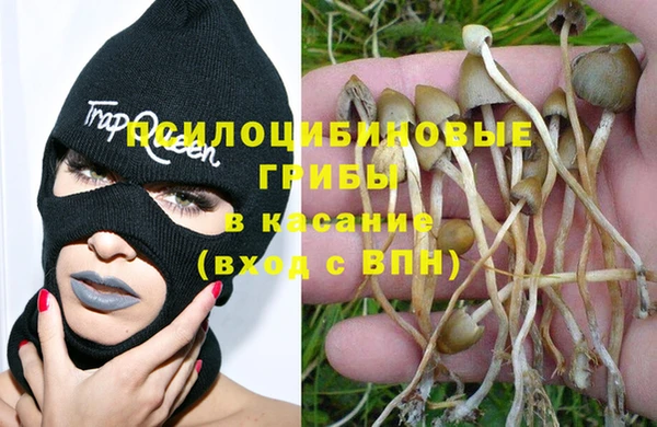 дмт Алзамай