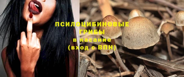 индика Алексин