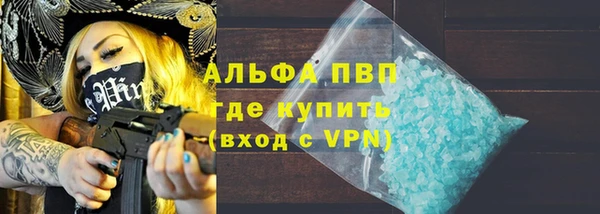 индика Алексин