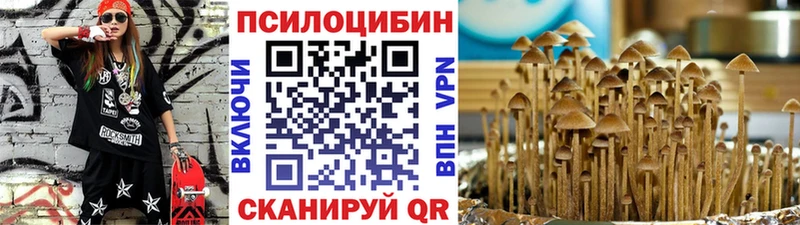 дарк нет официальный сайт  купить наркотики цена  Сорочинск  Галлюциногенные грибы Magic Shrooms 